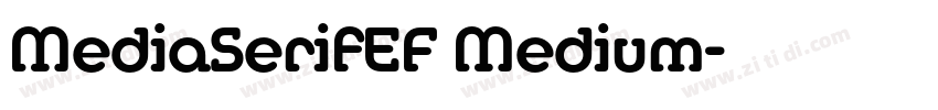 MediaSerifEF Medium字体转换